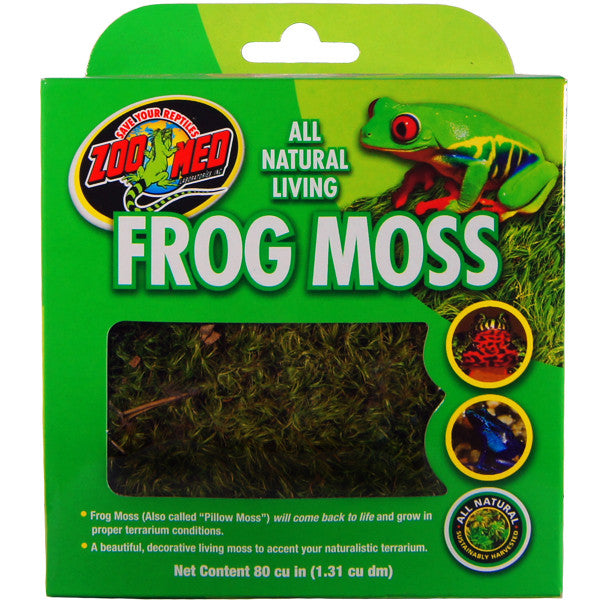 Aged Ceramic Frog Moss, Green - Esschert Design USA