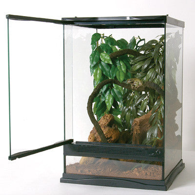 Terrarium Glass