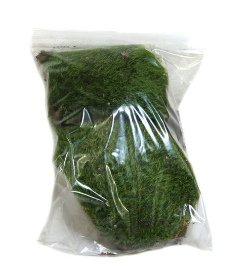 Live Mood Moss (1 gallon)