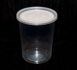 Insect Fruit Fly Cup and Lid